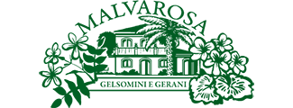 Malvarosa